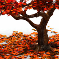 My attempt at modeling a Japanese maple tree in Wings3d