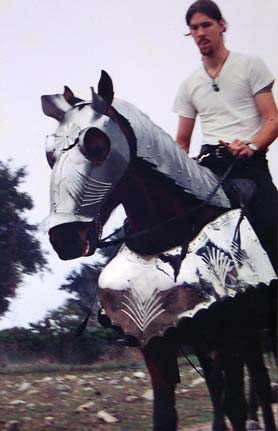 Horse wearing Armour